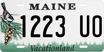 ME license plate 1223UO