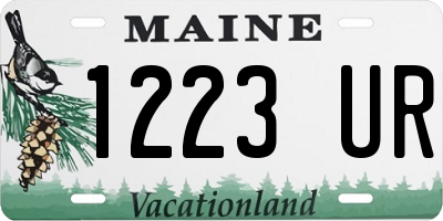 ME license plate 1223UR