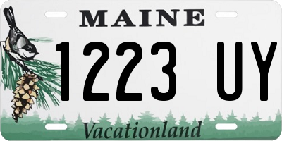 ME license plate 1223UY