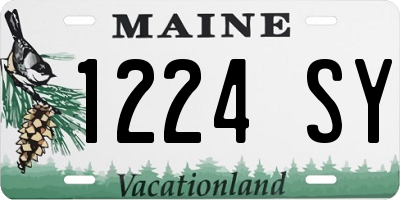 ME license plate 1224SY