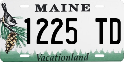 ME license plate 1225TD
