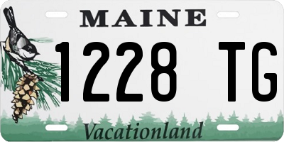 ME license plate 1228TG