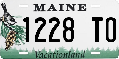 ME license plate 1228TO