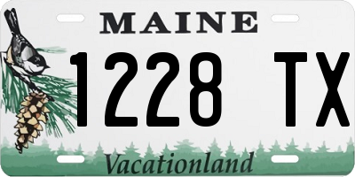 ME license plate 1228TX