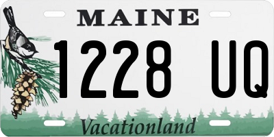 ME license plate 1228UQ