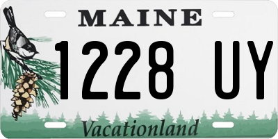 ME license plate 1228UY