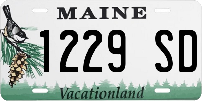 ME license plate 1229SD