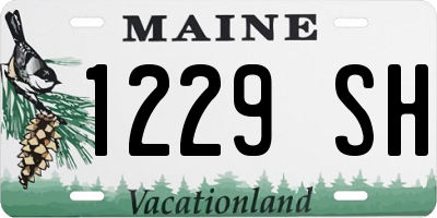 ME license plate 1229SH
