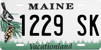 ME license plate 1229SK