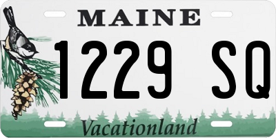 ME license plate 1229SQ