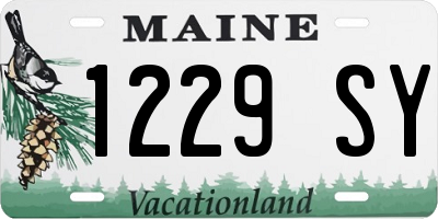ME license plate 1229SY