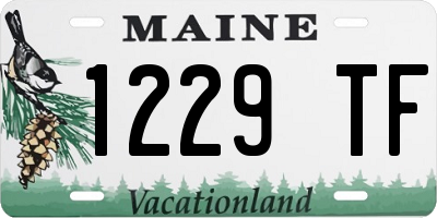 ME license plate 1229TF