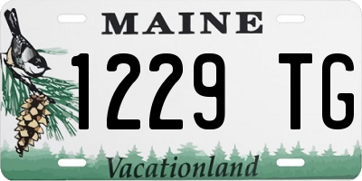 ME license plate 1229TG