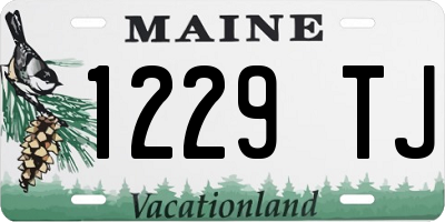 ME license plate 1229TJ