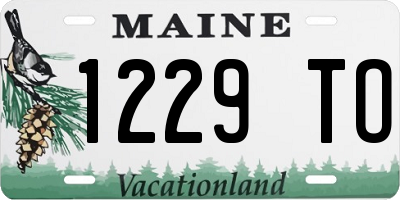 ME license plate 1229TO