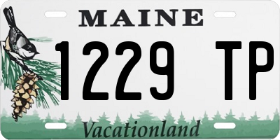 ME license plate 1229TP