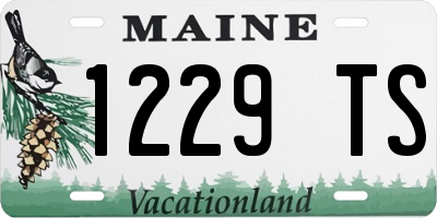 ME license plate 1229TS