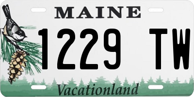 ME license plate 1229TW