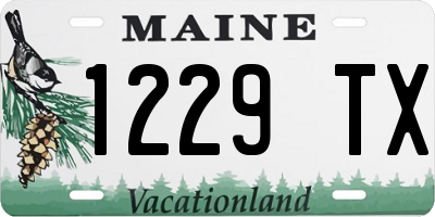 ME license plate 1229TX