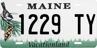 ME license plate 1229TY