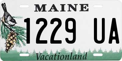 ME license plate 1229UA