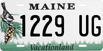 ME license plate 1229UG