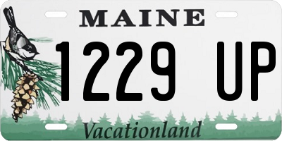 ME license plate 1229UP