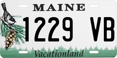 ME license plate 1229VB