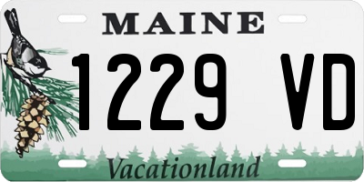 ME license plate 1229VD