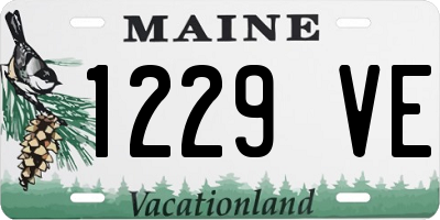 ME license plate 1229VE