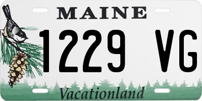 ME license plate 1229VG