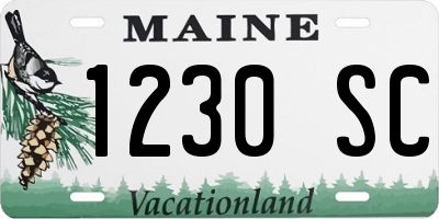 ME license plate 1230SC