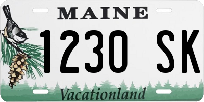 ME license plate 1230SK