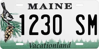 ME license plate 1230SM