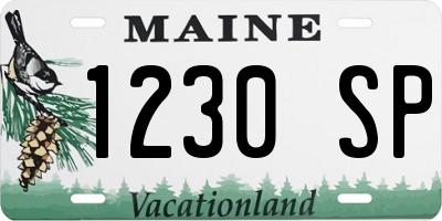 ME license plate 1230SP