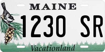 ME license plate 1230SR