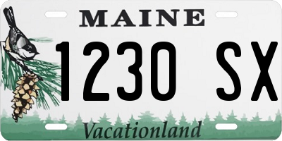 ME license plate 1230SX