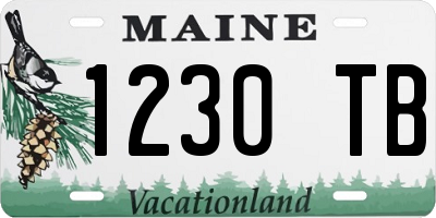 ME license plate 1230TB