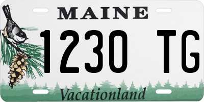 ME license plate 1230TG