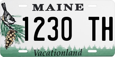 ME license plate 1230TH