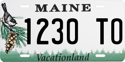 ME license plate 1230TO