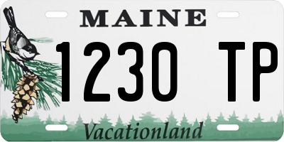 ME license plate 1230TP