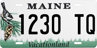 ME license plate 1230TQ