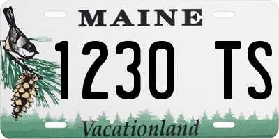 ME license plate 1230TS