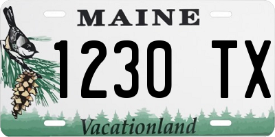 ME license plate 1230TX