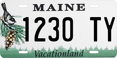ME license plate 1230TY