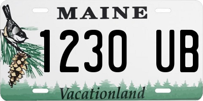 ME license plate 1230UB