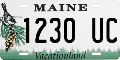 ME license plate 1230UC
