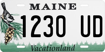 ME license plate 1230UD
