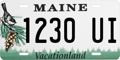 ME license plate 1230UI